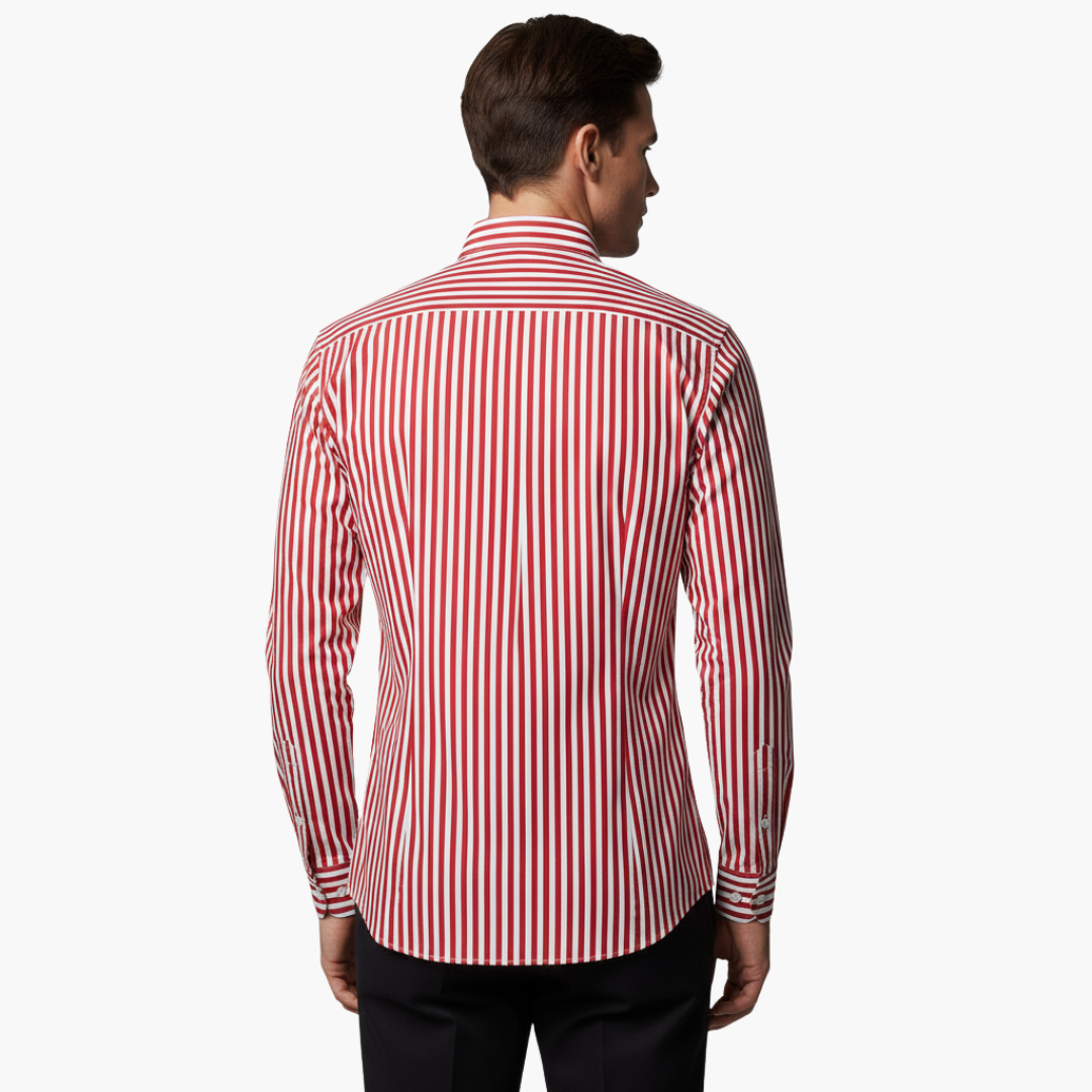 Vertical Stripe Slim Fit Dress Shirt Long Sleeve Button-Down – Tarvo