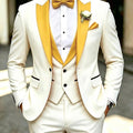 Men's 3-Piece Tuxedo Suit Shawl Collar Blazer Vest Pants – Valsen